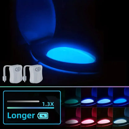 4 件套 Toilet Bowl Night Light with Motion