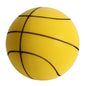 Indoor Silent Basketball