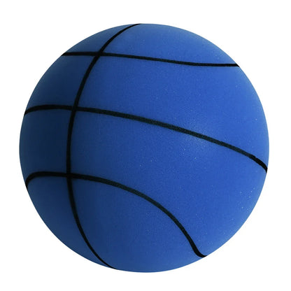 Indoor Silent Basketball