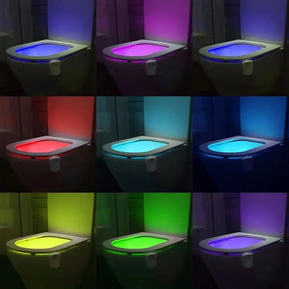 4 件套 Toilet Bowl Night Light with Motion