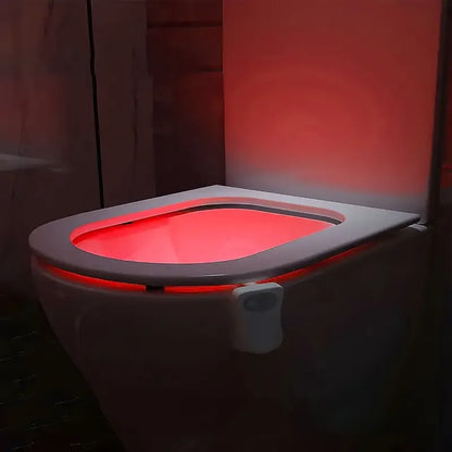 4 件套 Toilet Bowl Night Light with Motion
