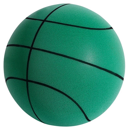 Indoor Silent Basketball
