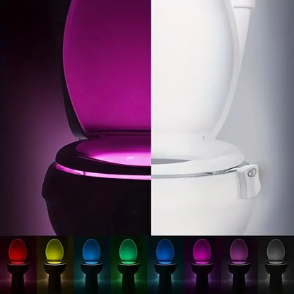 4 件套 Toilet Bowl Night Light with Motion